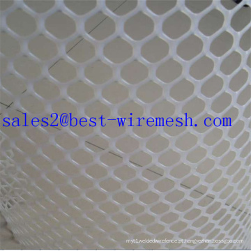 PP e PE Plastic Flat Wire Mesh para aves de capoeira